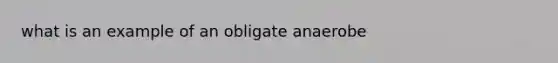 what is an example of an obligate anaerobe