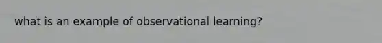 what is an example of observational learning?