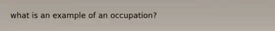 what is an example of an occupation?