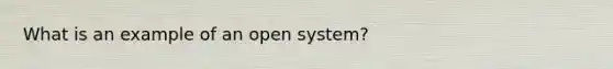 What is an example of an open system?