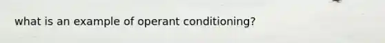 what is an example of operant conditioning?