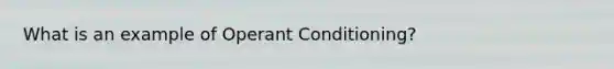 What is an example of Operant Conditioning?