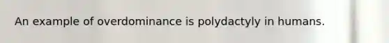 An example of overdominance is polydactyly in humans.