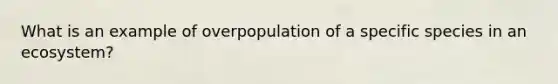 What is an example of overpopulation of a specific species in an ecosystem?