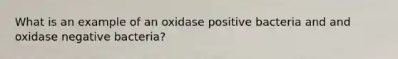 What is an example of an oxidase positive bacteria and and oxidase negative bacteria?