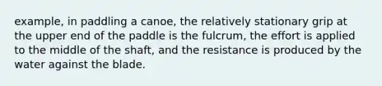 example, in paddling a canoe, the relatively stationary grip at the upper end of the paddle is the fulcrum, the effort is applied to the middle of the shaft, and the resistance is produced by the water against the blade.