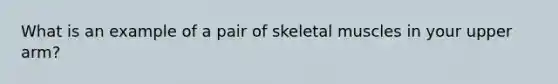 What is an example of a pair of skeletal muscles in your upper arm?