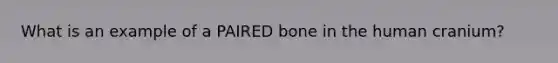 What is an example of a PAIRED bone in the human cranium?