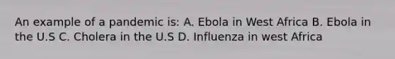 An example of a pandemic is: A. Ebola in West Africa B. Ebola in the U.S C. Cholera in the U.S D. Influenza in west Africa