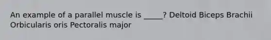 An example of a parallel muscle is _____? Deltoid Biceps Brachii Orbicularis oris Pectoralis major