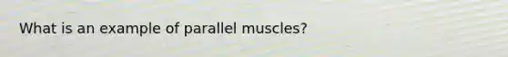 What is an example of parallel muscles?