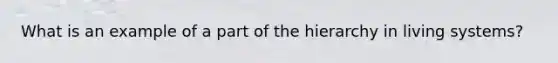 What is an example of a part of the hierarchy in living systems?