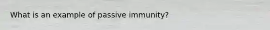 What is an example of passive immunity?