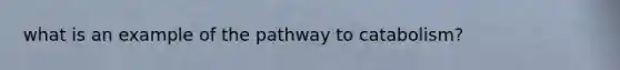 what is an example of the pathway to catabolism?