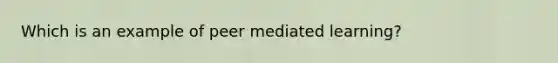 Which is an example of peer mediated learning?