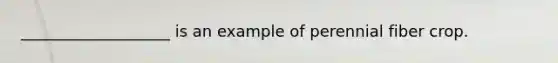 ___________________ is an example of perennial fiber crop.