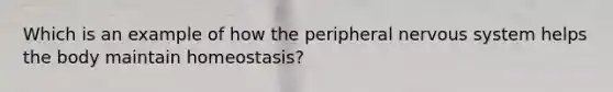 Which is an example of how the peripheral <a href='https://www.questionai.com/knowledge/kThdVqrsqy-nervous-system' class='anchor-knowledge'>nervous system</a> helps the body maintain homeostasis?