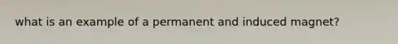 what is an example of a permanent and induced magnet?