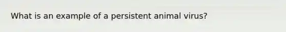 What is an example of a persistent animal virus?