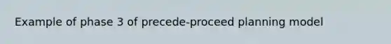 Example of phase 3 of precede-proceed planning model