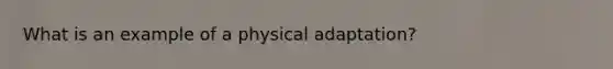 What is an example of a physical adaptation?