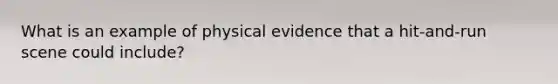 What is an example of physical evidence that a hit-and-run scene could include?