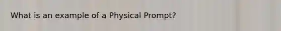 What is an example of a Physical Prompt?