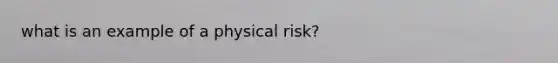 what is an example of a physical risk?