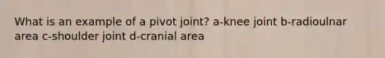 What is an example of a pivot joint? a-knee joint b-radioulnar area c-shoulder joint d-cranial area