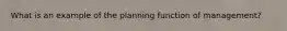What is an example of the planning function of management?