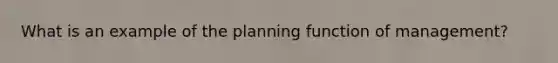 What is an example of the planning function of management?