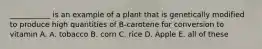 ___________ is an example of a plant that is genetically modified to produce high quantities of B-carotene for conversion to vitamin A. A. tobacco B. corn C. rice D. Apple E. all of these