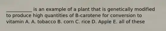 ___________ is an example of a plant that is genetically modified to produce high quantities of B-carotene for conversion to vitamin A. A. tobacco B. corn C. rice D. Apple E. all of these