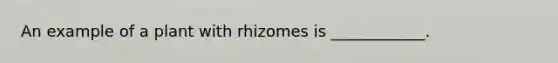 An example of a plant with rhizomes is ____________.