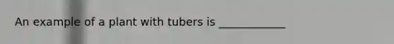 An example of a plant with tubers is ____________