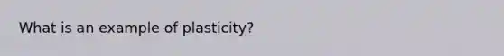 What is an example of plasticity?