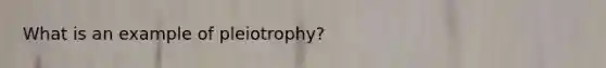 What is an example of pleiotrophy?