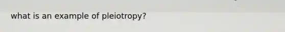 what is an example of pleiotropy?