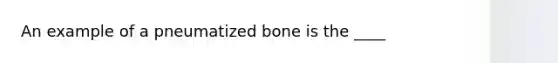 An example of a pneumatized bone is the ____