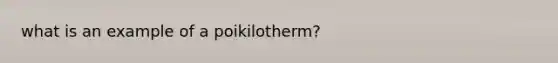 what is an example of a poikilotherm?