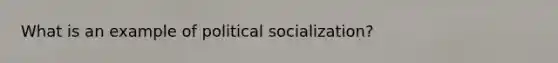 What is an example of political socialization?