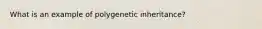 What is an example of polygenetic inheritance?