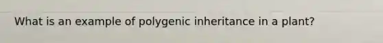 What is an example of polygenic inheritance in a plant?