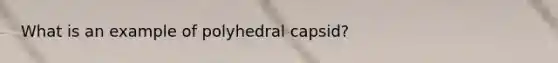 What is an example of polyhedral capsid?