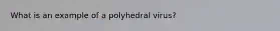 What is an example of a polyhedral virus?