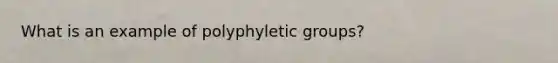 What is an example of polyphyletic groups?