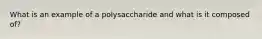 What is an example of a polysaccharide and what is it composed of?