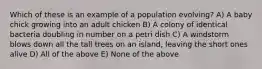 Which of these is an example of a population evolving? A) A baby chick growing into an adult chicken B) A colony of identical bacteria doubling in number on a petri dish C) A windstorm blows down all the tall trees on an island, leaving the short ones alive D) All of the above E) None of the above