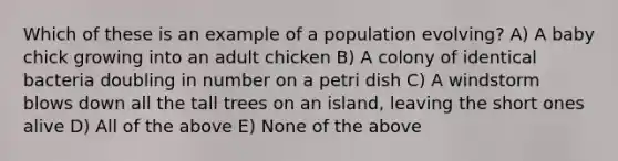 Which of these is an example of a population evolving? A) A baby chick growing into an adult chicken B) A colony of identical bacteria doubling in number on a petri dish C) A windstorm blows down all the tall trees on an island, leaving the short ones alive D) All of the above E) None of the above