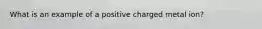 What is an example of a positive charged metal ion?